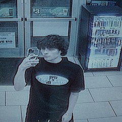 cameras