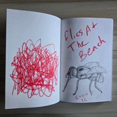Flies At The Beach