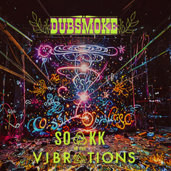 Soakk in the Vibrations