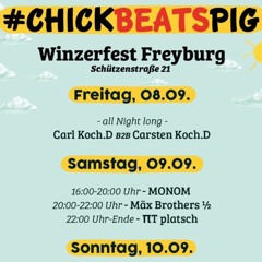 Mäx Brothers @ #CHICKBEATSPIG Winzerfest Freyburg 10.09.2023