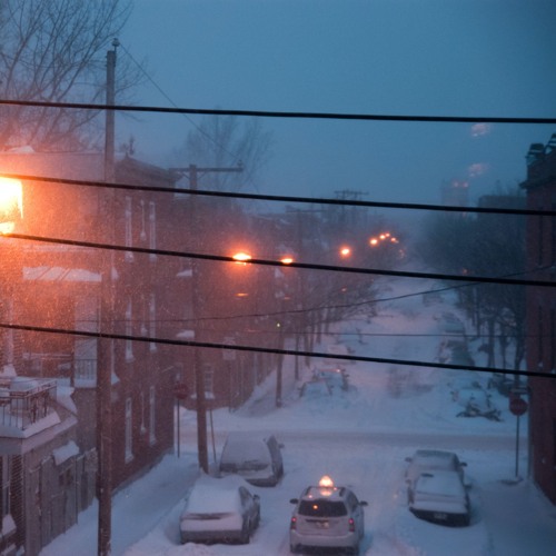 meat computer - shadow world illusion self