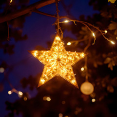 Seeing Stars