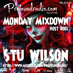 Profound Radio  Progressive House @djstuwilson