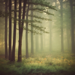 La Gratitud (mística)V1