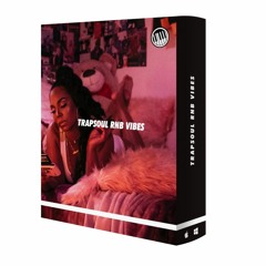 Trapsoul RnB Vibes - Preview
