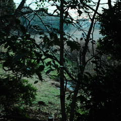 Log_20251231（demo）