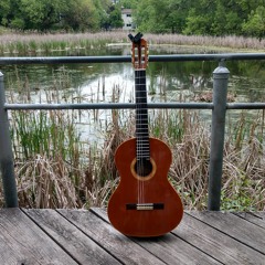 Playing on a boardwalk in a swamp in Schaumburg Illinois (May 2023)