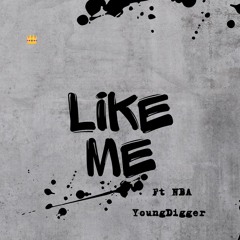 Like Me (with NBA YoungDigger)