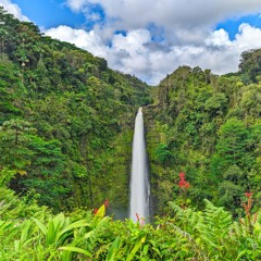 Akaka Falls(Remastered)
