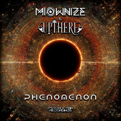 MioWnize & Up There - Phenomenon