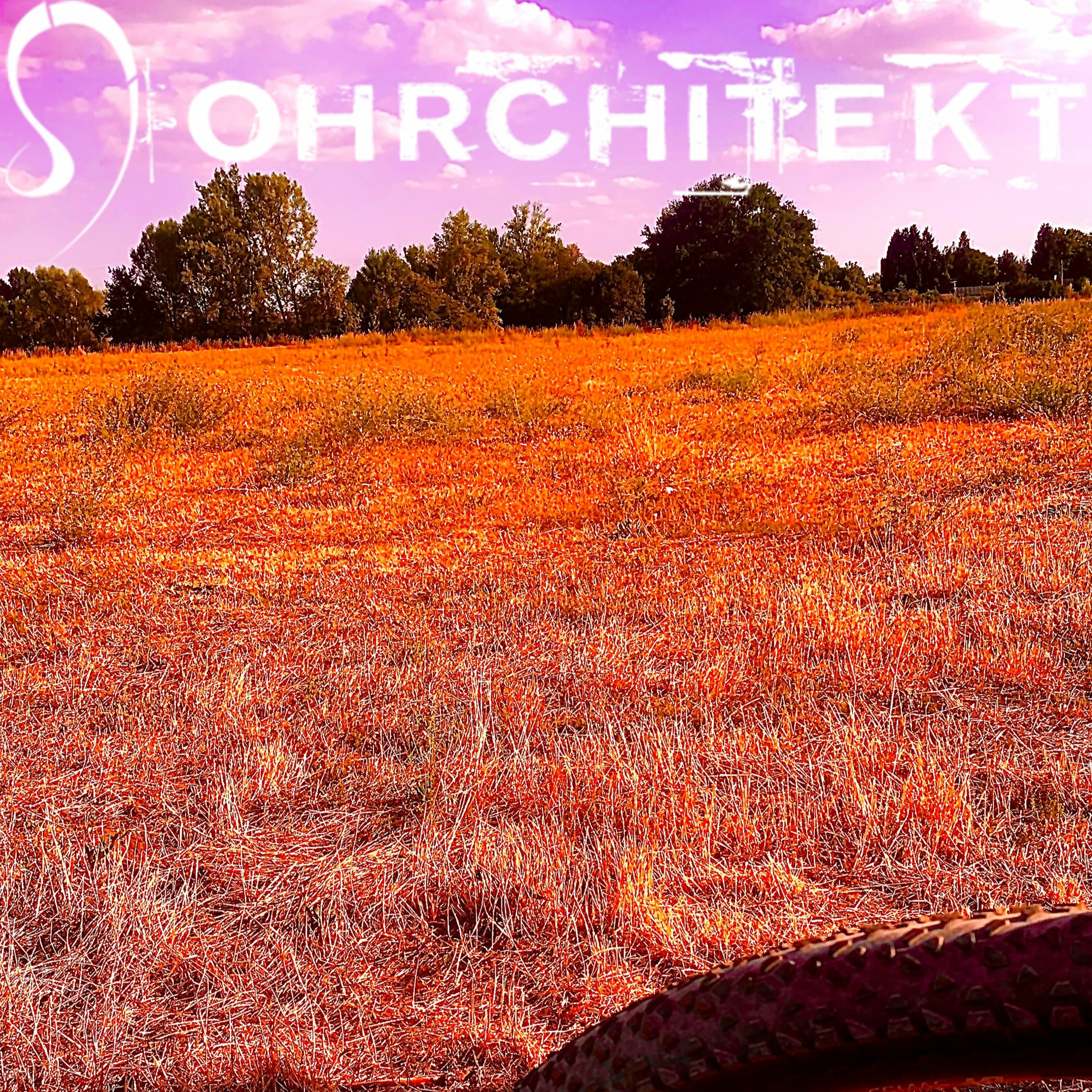 OHRCHITEKT
