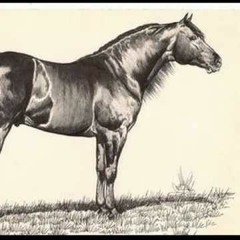 THE STALLION PART 3 (WEEN COVER)