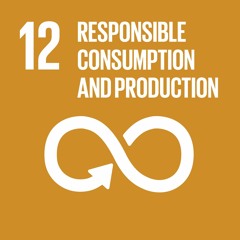 SDG12 - Why is India doing so well, and will this stay the case?