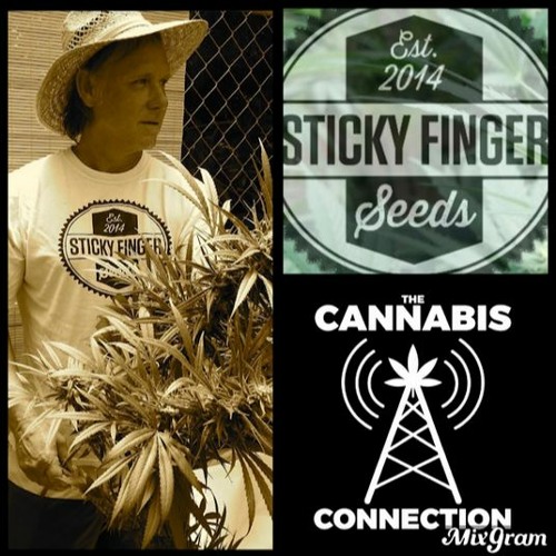 Will Grinnell - Sticky Fingers Seeds & Deep Green Genetics 09/10/21