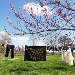 this particular dyke life (living/recording)