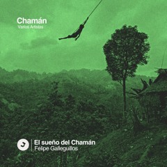 El Sueño Del Chamán - Felipe Galleguillos