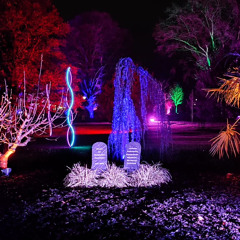 Rotermehl - Exodus.mp3