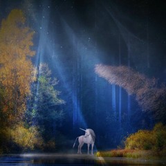 Spiritualist Unicorn Journey (psytrance official)