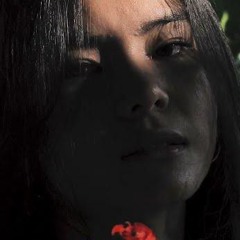 THOMAZZ_-_မခူးရက်ခဲ့ပါ_[_Official_Music_Video](256k).mp3