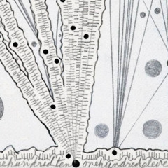 NUMBERS 1