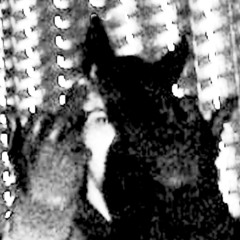 dhdrbvrgh