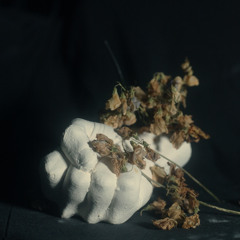 Dead Meat (feat. Birds in Row & Quentin Sauvé)