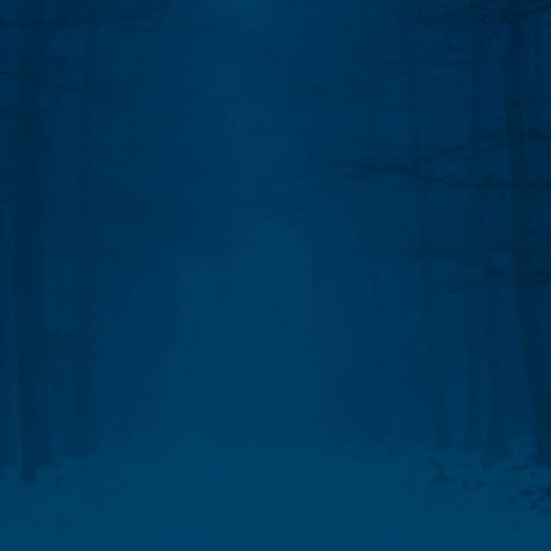 Deep cold - ... e questo freddo dentro e tutt'intorno...