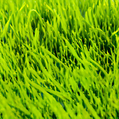 458 hz 137 110BPM G#MIN