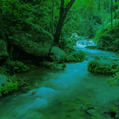 Like A Stream