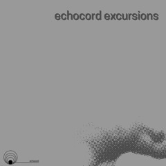 echologist - buzz factory