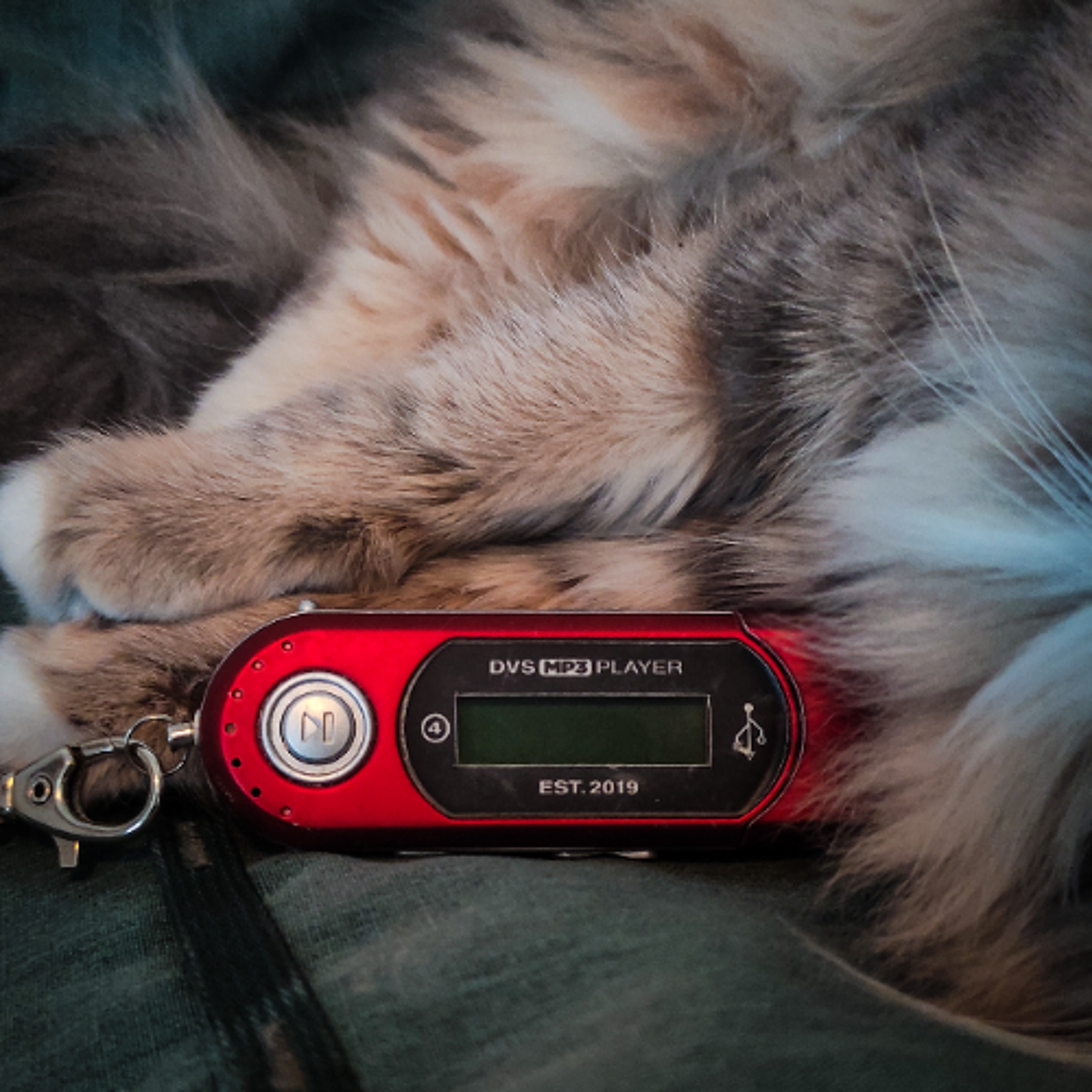 DVS MP3 PLAYER 118 | 06.12.24 episode artwork