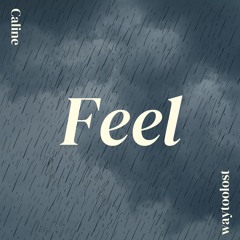 Feel (Prod. waytoolost)