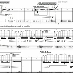 Serotonin Saturation (for bass flute solo and electronics) | 2020