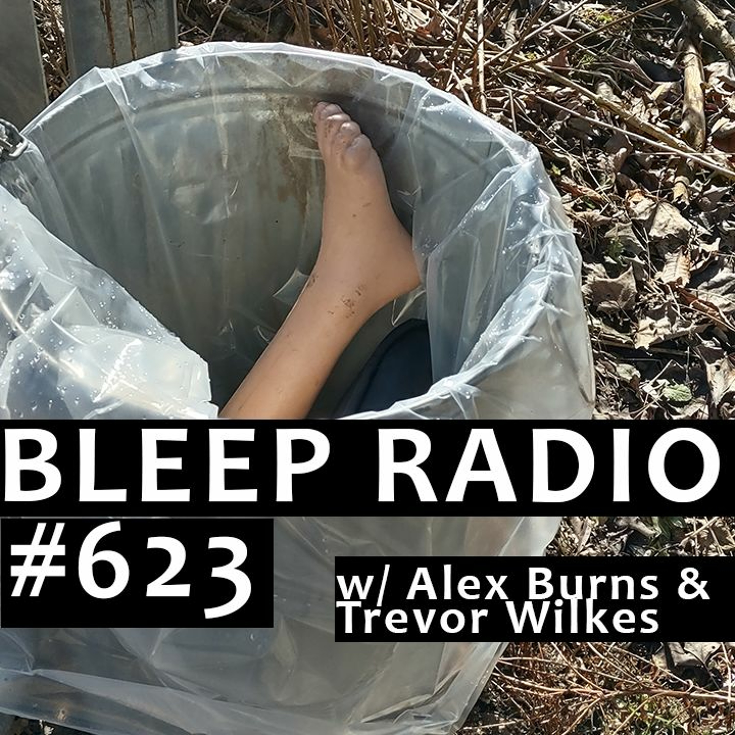 Bleep Radio #623 w/ Alex Burns and Trevor Wilkes [Thick Lidded Bird Eye] episode artwork