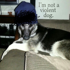 I’m still your puppy dog. (feat. puppydog)