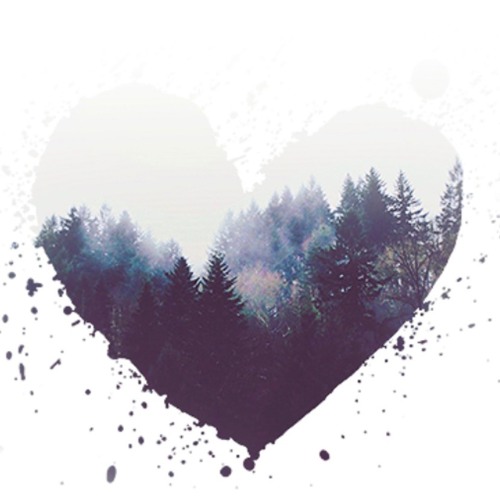 Wild Heart - by Kathi Fran Copans & Lavinia Cos (acoustic demo)