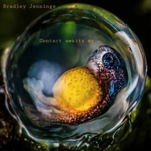 Trailer Trash (Modest Mouse)