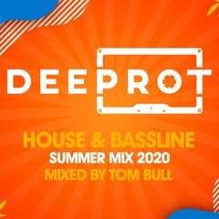 Tom Bull - Deeprot Summer House + Bassline 2020
