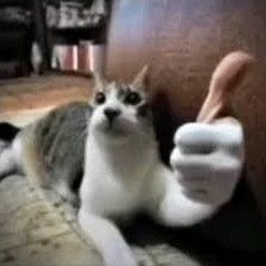 Playlist épica 1!1!¹!