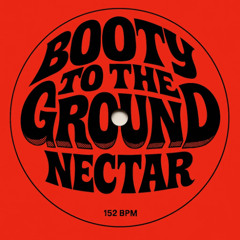 BOOTY TO THE GROUND! (DEMO)