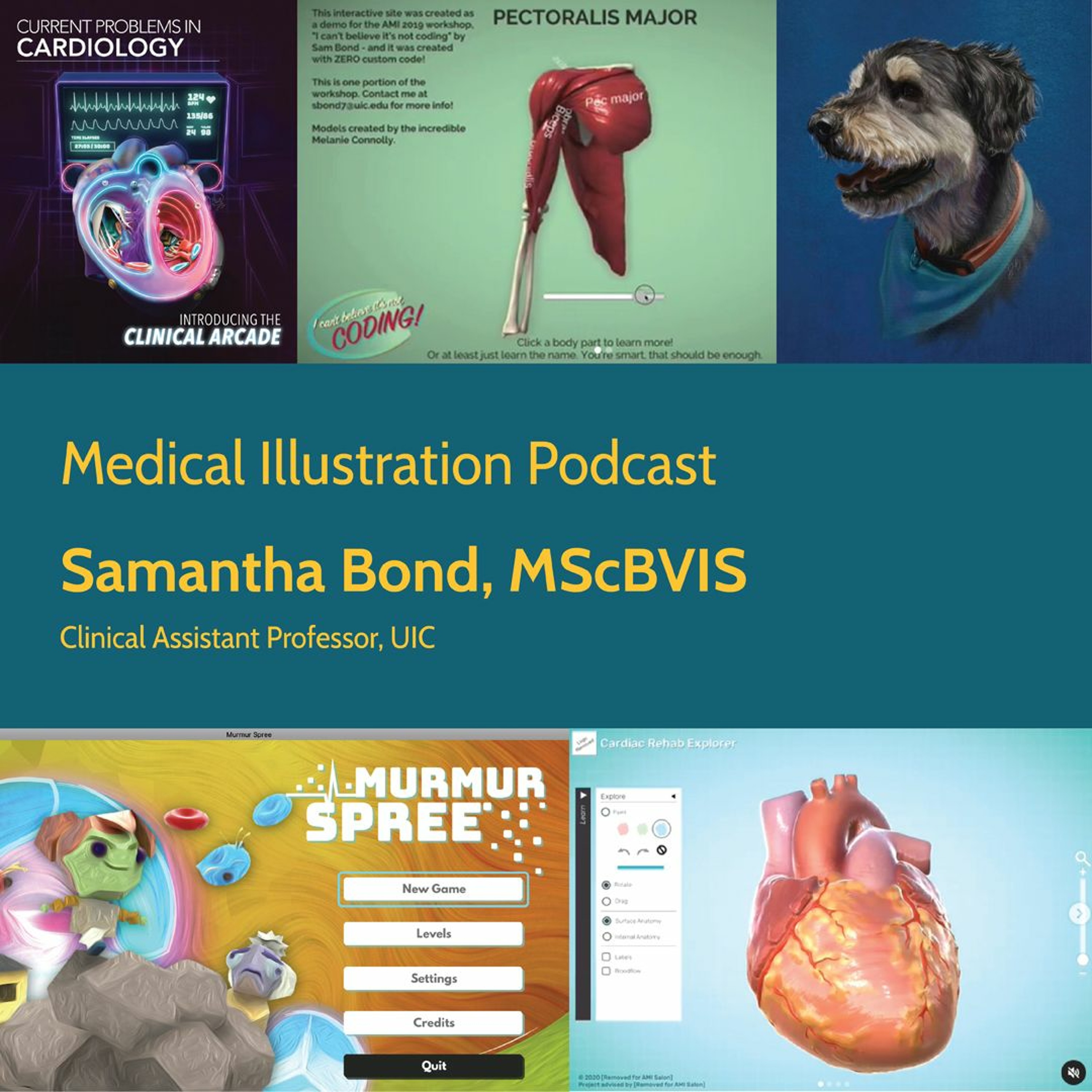 Medical Illustration Podcast
