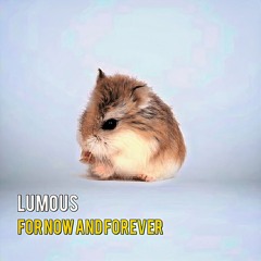 Lumous - For Now And Forever