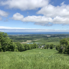 Coal - Dylan Gossett