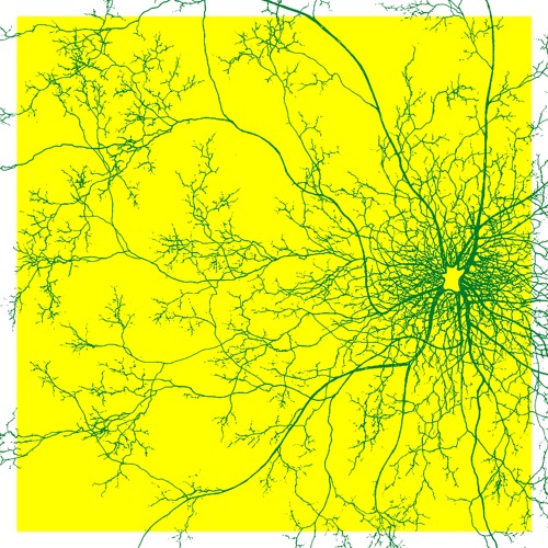 CHRIS WIDMAN + SEAN TAYLOR - abstract science x humboldt arboreal society @ hungry brain chi [2024]