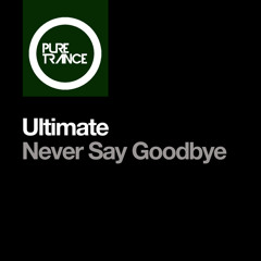 Never Say Goodbye