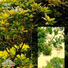 Simala - "000" (Octobre 2024)