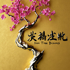 Iron Tree Blooms 当铁树开花时