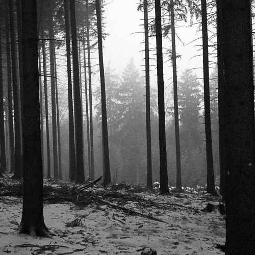 corbin - path SLOWED + REVERB