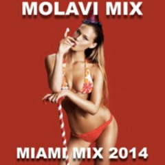 MOLAVI MIX - MIAMI MIX 2014