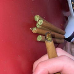 “dont take life seriously” ft stxzy1_1 (prod dzylucas)